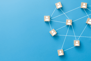 network schema